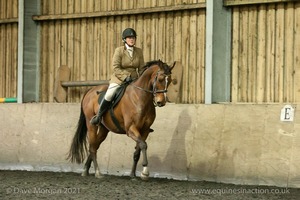 Isis Dressage Crown Farm Show 29th April 2012